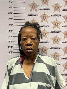 mugshot of DIANE  WALKER