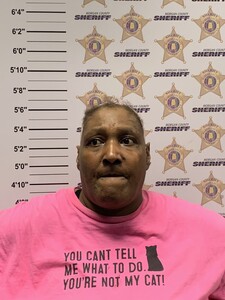 mugshot of JULIE A COWAN