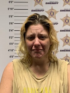 mugshot of ARIEL RENEA BROCK