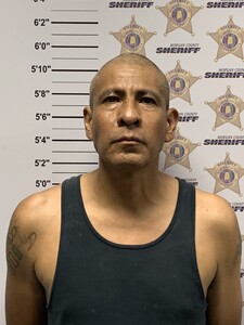 mugshot of ERIC CARRO GOMEZ