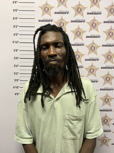 mugshot of DARON FITZGERALD DAVIS