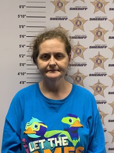 mugshot of KRISTY ALLEN PERRY