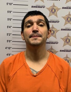 mugshot of LAURA ANN JURANEK