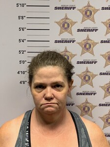 mugshot of SHALAUNA HARRIS COLLIER