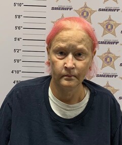 mugshot of JENIFER MARIE JOHNSON