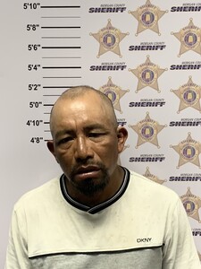 mugshot of DANIEL MATEO FRANCISCO