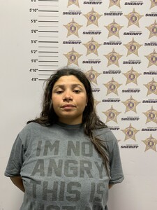 mugshot of ASHLI NATALI SIERRA VALDEZ