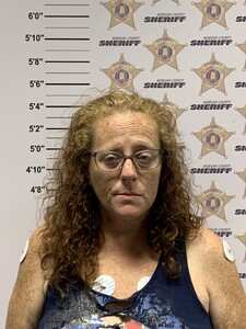 mugshot of TASHA A CURVIN