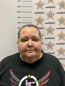 mugshot of ELIZABETH NICHOLE  DAVENPORT