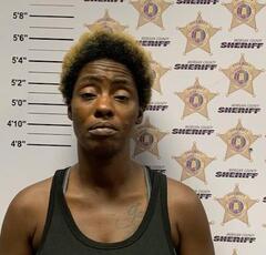 mugshot of PRINCESS MYEISHIA ANDERSON