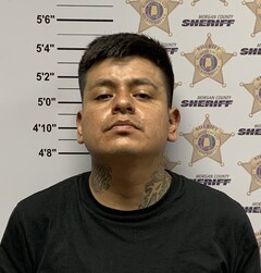 mugshot of LUIS FERNANDO ORTIZ-PALACIOS
