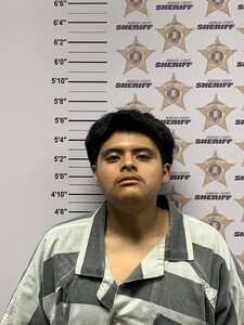 mugshot of ALEX JOSE DIEGO