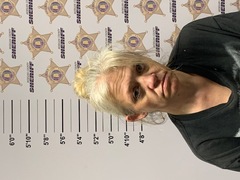 mugshot of CHASITY AMANDA DAVIS