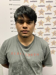 mugshot of SANDOVAL  ELVIS