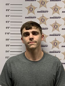 mugshot of RILEY TERRY MONROE