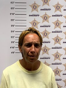mugshot of BRANDY MICHELLE HOLMES