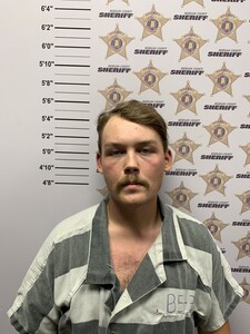 mugshot of TROY AMON MCLEMORE