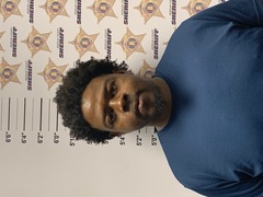 mugshot of BARRY LEWIS FORD JR