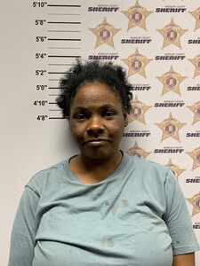 mugshot of JOYAL LENEE SYKES