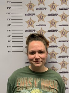 mugshot of BRITTANY DIANE SKINNER