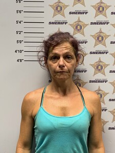 mugshot of TONYA NICOLE POWERS