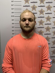 mugshot of DAVID MICHAEL HALBERT