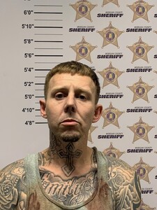 mugshot of MICHAEL WAYNE JONES