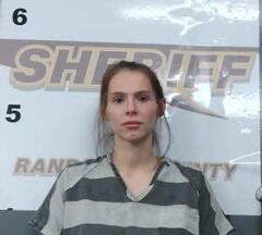 mugshot of BRANDI  HORN