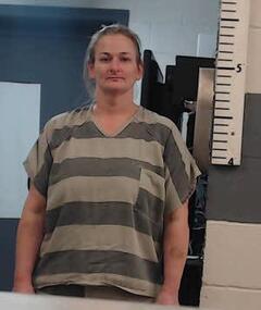 mugshot of MISTI  HILL