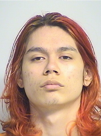 mugshot of Wilson