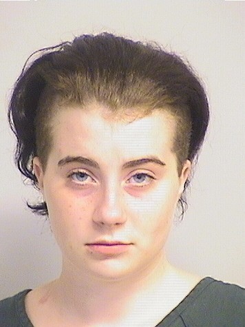 mugshot of Hollingsworth
