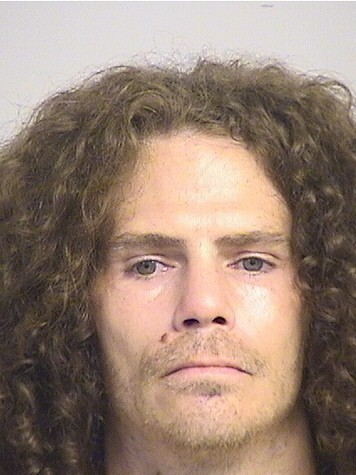 mugshot of Mcguffie