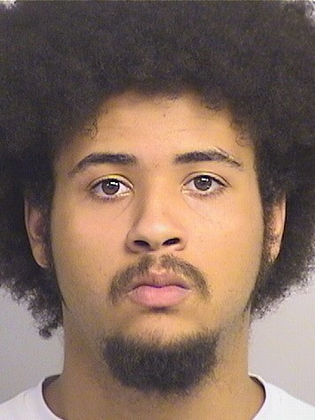 mugshot of Burch
