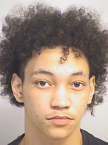 mugshot of Vann