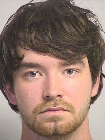 mugshot of Levins